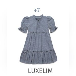 Luxelim size 4 Callie chiffon Dress dusty blue / dots / lightweight